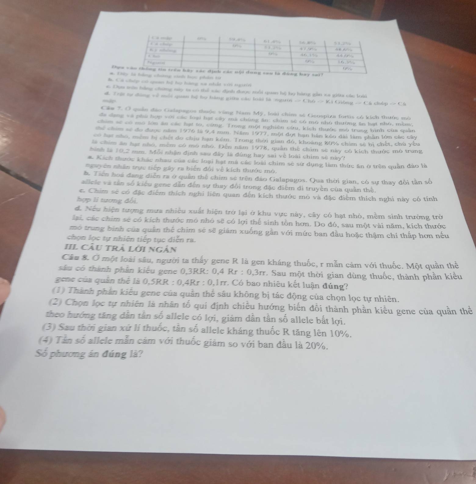 Đựa
a. Đâứng siah học phân từ
b. Cá chép có quan hệ họ hàng xa nhất với người
4. Dựm trên hàng chứng này ta có thể xác định được mỗi quan hệ họ hàng gần xa giữa các loài
d. Trậi tự đăng về mỗi quan hệ họ hàng giữa các loài là :người -> Chó -> Ki Giông -> Cá chép -> Cá
mập
Cầm 7. Ở quân đảo Galapagos thuộc vùng Nam Mỹ, loài chim sẻ Geospiza fortis có kích thước mô
đa dạng và phù hợp với các loại hạt cây mà chúng ăn: chim sè có mô nhỏ thường ăn hạt nhỏ, mềm:
chim sẽ có mô lớn ăn các hạt to, cứng. Trong một nghiên cứu, kích thước mò trung bình của quân
thể chim sẽ đo được năm 1976 là 9,4 mm. Năm 1977, một đợt hạn hán kéo dài làm phần lớn các cây
có hạt nhỏ, mêm bị chết do chịu hạn kém. Trong thời gian đó, khoảng 80% chim sẻ bị chết, chủ yếu
là chim ăn hạt nhỏ, mềm có mô nhỏ. Đến năm 1978, quân thể chim sè này có kích thước mỏ trung
bình là 10,2 mm. Mỗi nhận định sau đây là đúng hay sai về loài chim sẻ này?
a. Kích thước khác nhau của các loại hạt mà các loài chim sẻ sử dụng làm thức ăn ở trên quân đảo là
nguyễn nhân trực tiếp gây ra biến đối về kích thước mò.
h. Tiền hoá đang diễn ra ở quân thể chim sẻ trên đảo Galapagos. Qua thời gian, có sự thay đổi tần số
allele và tần số kiểu gene dẫn đến sự thay đổi trong đặc điểm di truyền của quân thể.
e. Chim sẽ có đặc điểm thích nghi liên quan đến kích thước mò và đặc điểm thích nghi này có tính
hợp lí tương đối.
d. Nếu hiện tượng mưa nhiều xuất hiện trở lại ở khu vực này, cây có hạt nhỏ, mềm sinh trưởng trở
lại, các chim sẻ có kích thước mô nhỏ sẽ có lợi thế sinh tồn hơn. Do đó, sau một vài năm, kích thước
mô trung bình của quân thể chim sẻ sẽ giảm xuống gần với mức ban đầu hoặc thậm chí thấp hơn nếu
chọn lọc tự nhiên tiếp tục diễn ra.
IIl cầU trả lời ngắn
Câu 8. Ở một loài sâu, người ta thấy gene R là gen kháng thuốc, r mẫn cảm với thuốc. Một quần thể
sâu có thành phần kiểu gene 0,3RR: 0,4 Rr : 0,3rr. Sau một thời gian dùng thuốc, thành phần kiều
gene của quân thể là 0,5RR : 0,4Rr : 0,1rr. Có bao nhiêu kết luận đúng?
(1) Thành phần kiểu gene của quần thể sâu không bị tác động của chọn lọc tự nhiên.
(2) Chọn lọc tự nhiên là nhân tố qui định chiều hướng biến đổi thành phần kiều gene của quần thể
theo hướng tăng dẫn tân số allele có lợi, giàm dần tần số allele bất lợi.
(3) Sau thời gian xứ lí thuốc, tân số allele kháng thuốc R tăng lên 10%.
(4) Tần số allele mẫn cảm với thuốc giảm so với ban đầu là 20%.
Số phương án đúng là?