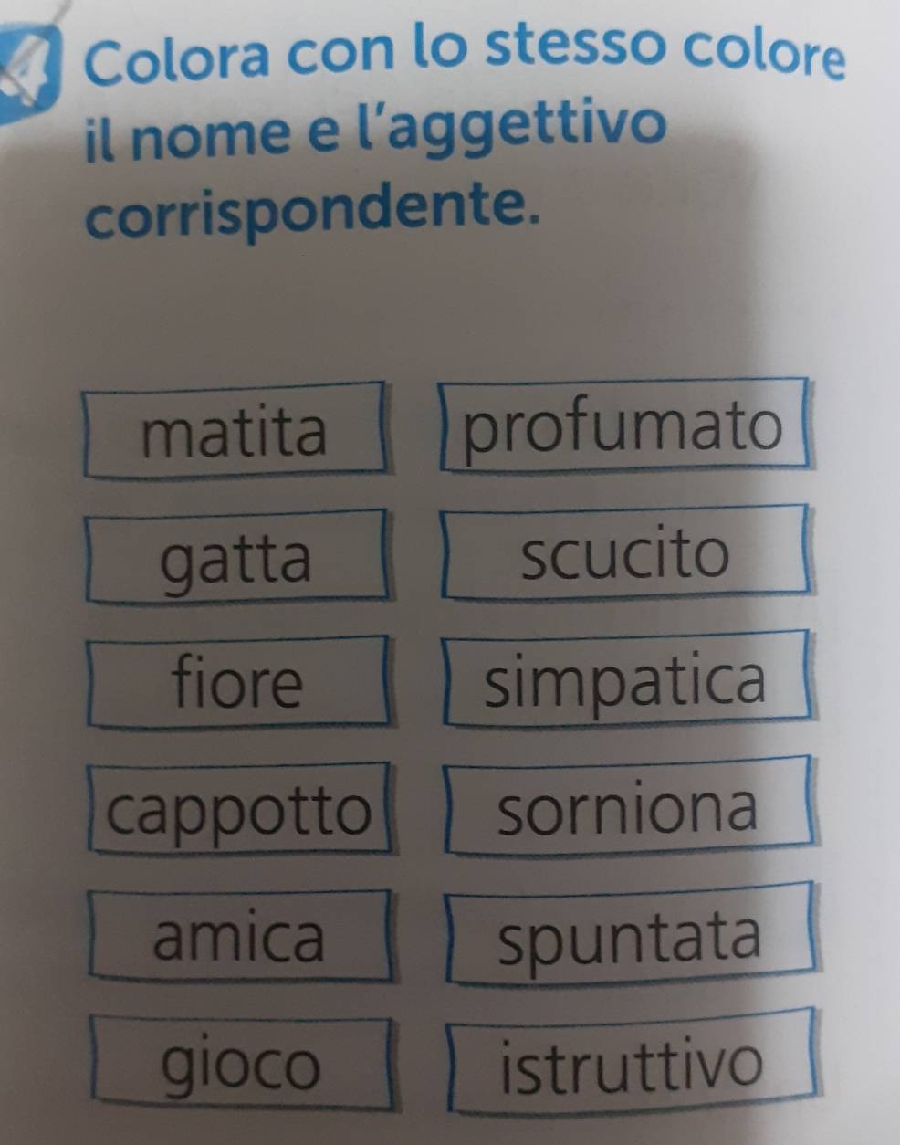 Colora con lo stesso colore
il nome e l'aggettivo
corrispondente.
matita profumato
gatta scucito
fiore simpatica
cappotto sorniona
amica spuntata
gioco istruttivo