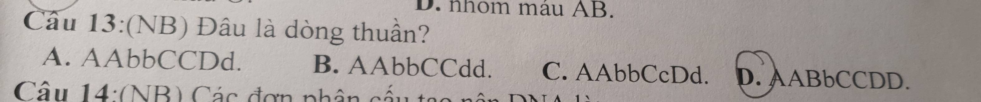 D. nhom máu AB.
Câu 13:(NB) Đâu là dòng thuần?
A. AAbbCCDd. B. AAbbCCdd. C. AAbbCcDd. D. AABbCCDD.
Câu 14: (NB) Các đơn phân cấu