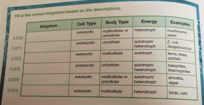 ased on the descriptions.