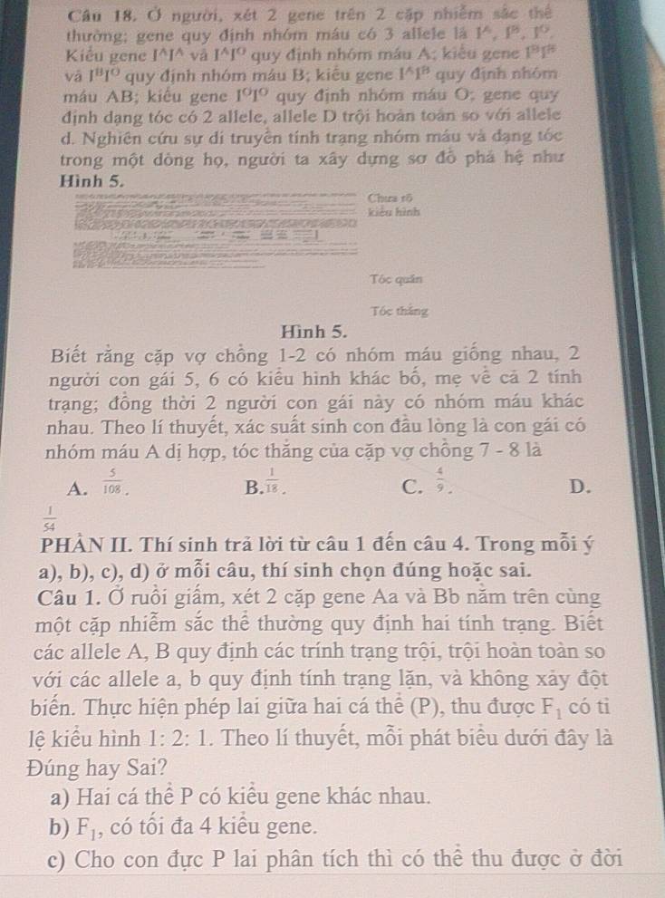 Ở người, xét 2 gene trên 2 cập nhiễm sắc thể
thường; gene quy định nhóm máu có 3 allele là 1^(wedge),1^B,1°,
Kiểu gene [^wedge ] và I^(wedge)I^O quy định nhóm máu A; kiểu gene PP1°P°
vā I^BI^O quy định nhóm máu B; kiểu gene 1^(wedge)1^B quy định nhóm
máu AB; kiểu gene 1°1° quy định nhóm máu O; gene quy
định dạng tóc có 2 allele, allele D trội hoàn toàn so với allele
d. Nghiên cứu sự di truyền tính trạng nhóm máu và đạng tốc
trong một dòng họ, người ta xây dựng sơ đồ phá hệ như
Hình 5.
Chưa rõ
kiểu hình
Tóc quân
Tóc thắng
Hình 5.
Biết rằng cặp vợ chồng 1-2 có nhóm máu giống nhau, 2
người con gái 5, 6 có kiểu hình khác bố, mẹ về cả 2 tính
trạng; đồng thời 2 người con gái này có nhóm máu khác
nhau. Theo lí thuyết, xác suất sinh con đầu lòng là con gái có
nhóm máu A dị hợp, tóc thăng của cặp vợ chồng 7 - 8 là
A.  5/108.   1/18 . C.  4/9 .
B.
D.
 1/54 
PHÀN II. Thí sinh trả lời từ câu 1 đến câu 4. Trong mỗi ý
a), b), c), d) ở mỗi câu, thí sinh chọn đúng hoặc sai.
Câu 1. Ở ruồi giấm, xét 2 cặp gene Aa và Bb nằm trên cùng
một cặp nhiễm sắc thể thường quy định hai tính trạng. Biết
các allele A, B quy định các trính trạng trội, trội hoàn toàn so
với các allele a, b quy định tính trạng lặn, và không xảy đột
biển. Thực hiện phép lai giữa hai cá thể (P), thu được F_1 có ti
lệ kiểu hình 1:2:1. Theo lí thuyết, mỗi phát biểu dưới đây là
Đúng hay Sai?
a) Hai cá thể P có kiểu gene khác nhau.
b) F_1 , có tối đa 4 kiểu gene.
c) Cho con đực P lai phân tích thì có thể thu được ở đời