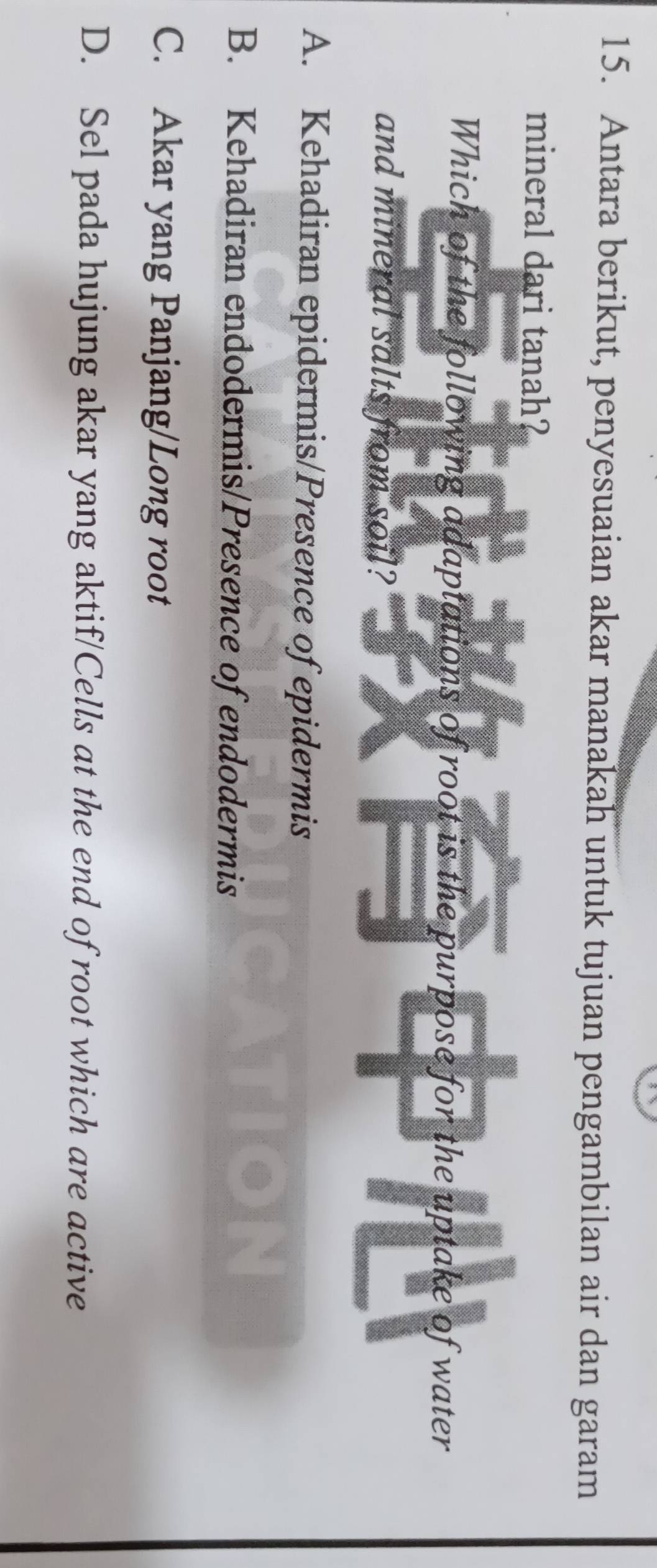 Antara berikut, penyesuaian akar manakah untuk tujuan pengambilan air dan garam
mineral dari tanah?
Which of the following adaptations of root is the purpose for the uptake of water
and mineral salts from soil?
A. Kehadiran epidermis/Presence of epidermis
B. Kehadiran endodermis/Presence of endodermis
C. Akar yang Panjang/Long root
D. Sel pada hujung akar yang aktif/Cells at the end of root which are active