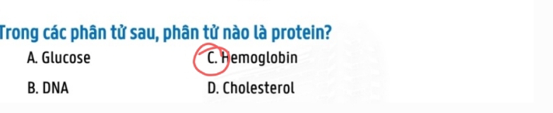 Trong các phân tử sau, phân tử nào là protein?
A. Glucose C. Hemoglobin
B. DNA D. Cholesterol