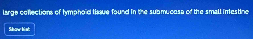 large collections of lymphoid tissue found in the submucosa of the small intestine 
Show hint