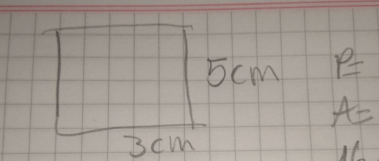 5 cm
P=
A=
BcM