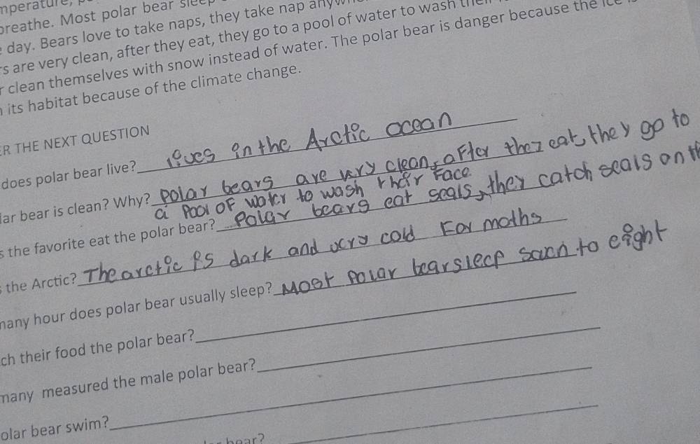 Imperature, 
preathe. Most polar bear slee 
day. Bears love to take naps, they take nap any 
s are very clean, after they eat, they go to a pool of water to wash ti 
r clean themselves with snow instead of water. The polar bear is danger because the l 
_ 
its habitat because of the climate change. 
R THE NEXT QUESTION 
_ 
does polar bear live? 
_ 
ar bear is clean? Why? 
_ 
_ 
s the favorite eat the polar bear? 
the Arctic? 
_ 
hany hour does polar bear usually sleep? 
ch their food the polar bear? 
many measured the male polar bear? 
olar bear swim? 
hear2 
_