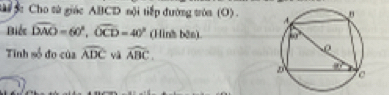 Cho tử giác ABCD nội tiếp đường tròa (O) . 
Biếc widehat DAO=60°,widehat OCD=40° (Hình bān) 
Tính số đo của widehat ADC vā widehat ABC.