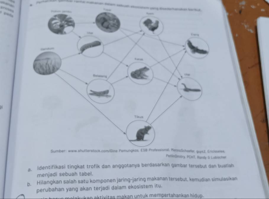 proses 

led, 
Pullinämitry PCHT, Randy G Lubischer 
a. Identifikasi tingkat trofik dan anggotanya berdasarkan gambar tersebut dan buatlah 
menjadi sebuah tabel. 
b. Hilangkan salah satu komponen jaring-jaring makanan tersebut, kemudian sirnulasikan 
perubahan yang akan terjadi dalam ekosistem itu. 
melakukan aktivitas makan untuk mempertahankan hidup.