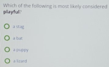 Which of the following is most likely considered
playful?
a stag
a bat
a puppy
a lizard