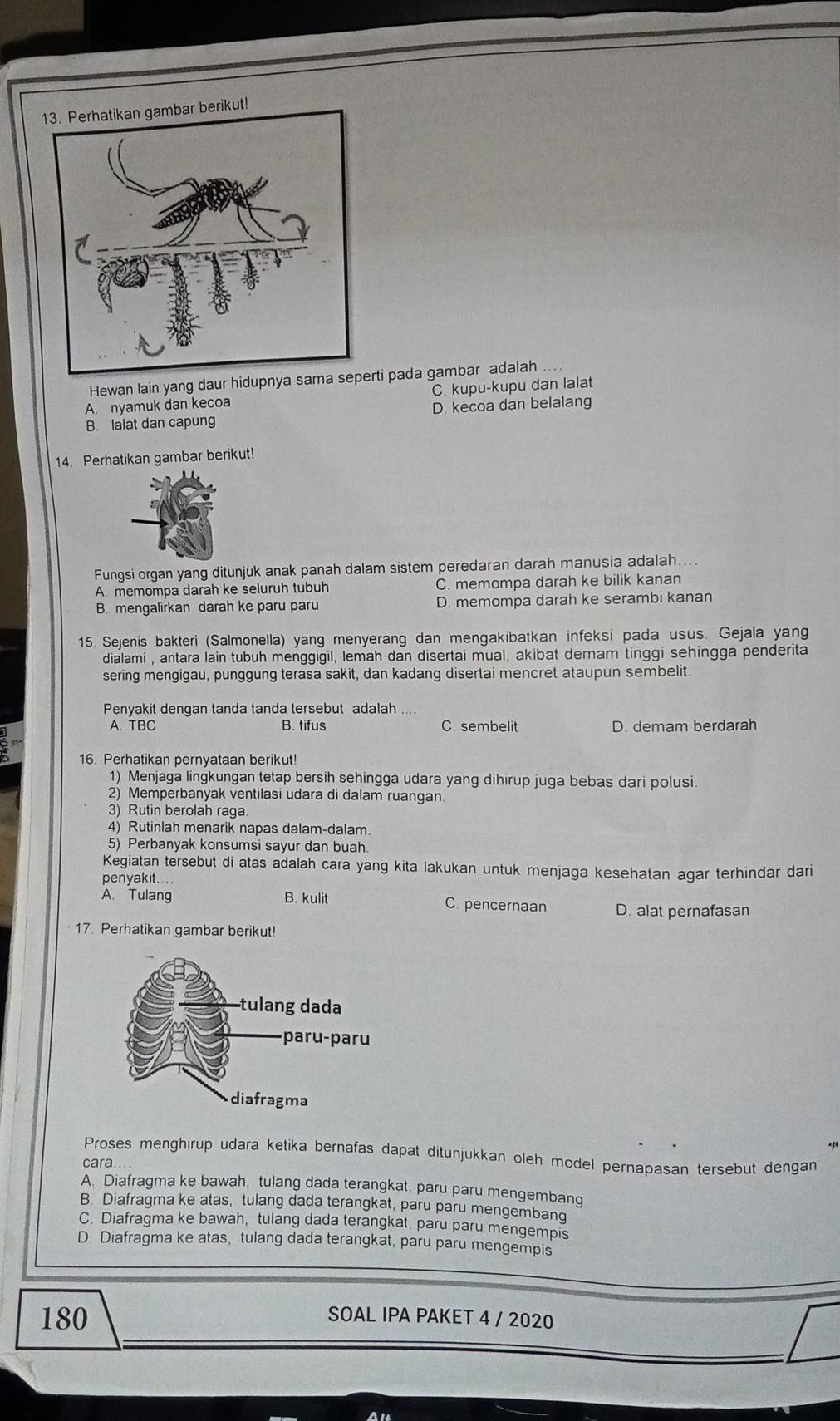 Hewan lain yang daur hidupnya sarti pada gambar adalah
A. nyamuk dan kecoa C. kupu-kupu dan lalat
B. lalat dan capung D. kecoa dan belalang
14. Perhatikan gambar berikut!
Fungsi organ yang ditunjuk anak panah dalam sistem peredaran darah manusia adalah....
A. memompa darah ke seluruh tubuh C. memompa darah ke bilik kanan
B. mengalirkan darah ke paru paru D. memompa darah ke serambi kanan
15. Sejenis bakteri (Salmonella) yang menyerang dan mengakibatkan infeksi pada usus. Gejala yang
dialami , antara lain tubuh menggigil, lemah dan disertai mual, akibat demam tinggi sehingga penderita
sering mengigau, punggung terasa sakit, dan kadang disertai mencret ataupun sembelit.
Penyakit dengan tanda tanda tersebut adalah
A. TBC B. tifus C. sembelit D. demam berdarah
16. Perhatikan pernyataan berikut!
1) Menjaga lingkungan tetap bersih sehingga udara yang dihirup juga bebas dari polusi.
2) Memperbanyak ventilasi udara di dalam ruangan.
3) Rutin berolah raga
4) Rutinlah menarik napas dalam-dalam.
5) Perbanyak konsumsi sayur dan buah.
Kegiatan tersebut di atas adalah cara yang kita lakukan untuk menjaga kesehatan agar terhindar dari
penyakit....
A. Tulang B. kulit C. pencernaan D. alat pernafasan
17. Perhatikan gambar berikut!
Proses menghirup udara ketika bernafas dapat ditunjukkan oleh model pernapasan tersebut dengan
cara...
A. Diafragma ke bawah, tulang dada terangkat, paru paru mengembang
B. Diafragma ke atas, tulang dada terangkat, paru paru mengembang
C. Diafragma ke bawah, tulang dada terangkat, paru paru mengempis
D. Diafragma ke atas, tulang dada terangkat, paru paru mengempis
180 SOAL IPA PAKET 4 / 2020