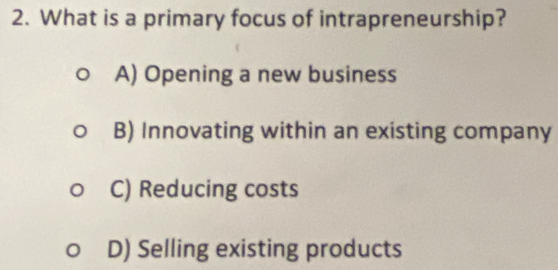 What is a primary focus of intrapreneurship?
A) Opening a new business
B) Innovating within an existing company
C) Reducing costs
D) Selling existing products