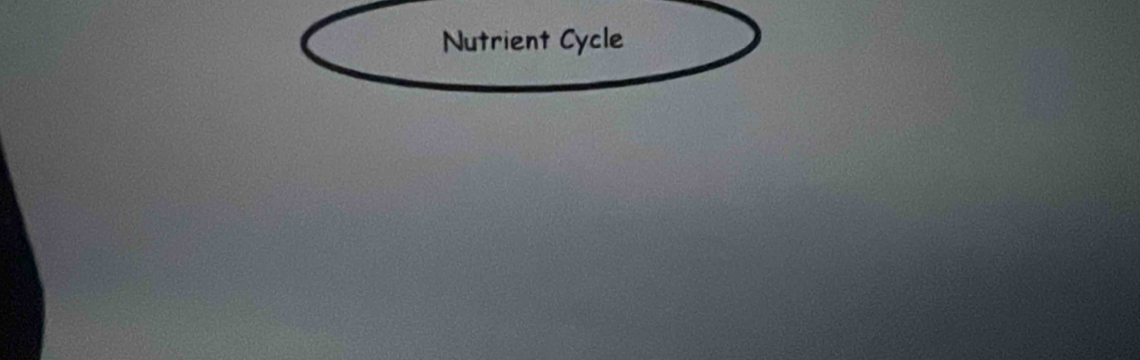 Nutrient Cycle