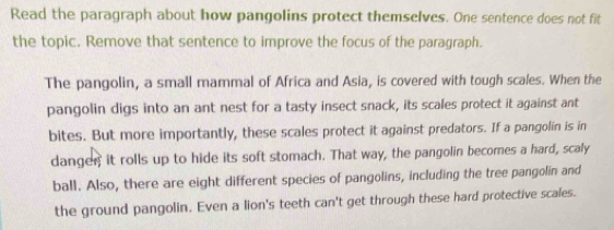 Read the paragraph about how pangolins protect themselves. One sentence does not fit 
the topic. Remove that sentence to improve the focus of the paragraph. 
The pangolin, a small mammal of Africa and Asia, is covered with tough scales. When the 
pangolin digs into an ant nest for a tasty insect snack, its scales protect it against ant 
bites. But more importantly, these scales protect it against predators. If a pangolin is in 
danger it rolls up to hide its soft stomach. That way, the pangolin becomes a hard, scaly 
ball. Also, there are eight different species of pangolins, including the tree pangolin and 
the ground pangolin. Even a lion's teeth can't get through these hard protective scales.