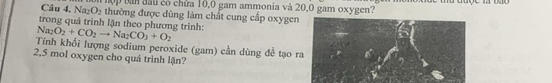 lể thu được là bão 
ợp bàn đầu có chứa 10,0 gam ammonia và 20, 0 gam oxygen? 
Câu 4. Na_2O_2 thường được dùng làm chất cung cấp oxygen 
trong quá trình lặn theo phương trình:
Na_2O_2+CO_2to Na_2CO_3+O_2
Tính khối lượng sodium peroxide (gam) cần dùng đề tạo r 
2, 5 mol oxygen cho quá trình lặn?