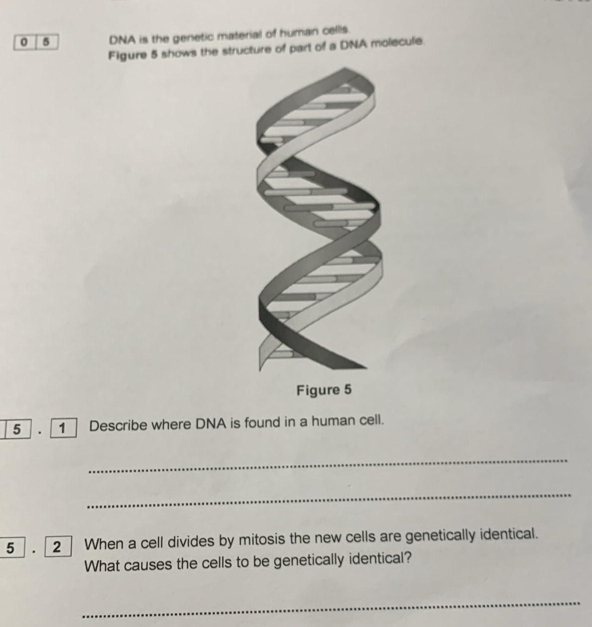 Solved: 0 5 DNA is the genetic material of human cellis. Figure 5 shows ...