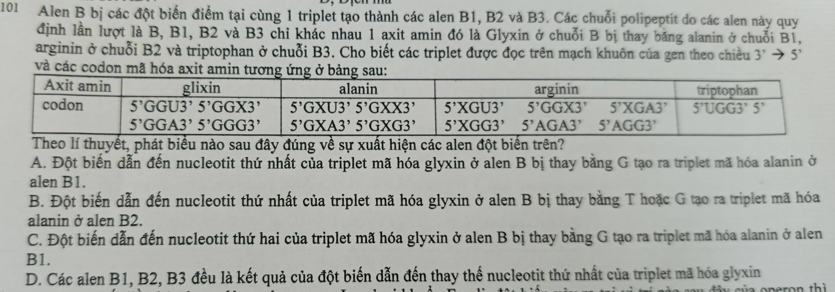 101 Alen B bị các đột biến điểm tại cùng 1 triplet tạo thành các alen B1, B2 và B3. Các chuỗi polipeptit do các alen này quy
định lần lượt là B, B1, B2 và B3 chỉ khác nhau 1 axit amin đó là Glyxin ở chuỗi B bị thay băng alanin ở chuỗi B1,
arginin ở chuỗi B2 và triptophan ở chuỗi B3. Cho biết các triplet được đọc trên mạch khuôn của gen theo chiều 3^,to 5’
và các codon mã hóa axit a
Theo lí thuyết, phát biểu nào sau đây đúng về sự xuất hiện các alen đột biến trên?
A. Đột biến dẫn đến nucleotit thứ nhất của triplet mã hóa glyxin ở alen B bị thay bằng G tạo ra triplet mã hóa alanin ở
alen B1.
B. Đột biến dẫn đến nucleotit thứ nhất của triplet mã hóa glyxin ở alen B bị thay bằng T hoặc G tạo ra triplet mã hóa
alanin ở alen B2.
C. Đột biến dẫn đến nucleotit thứ hai của triplet mã hóa glyxin ở alen B bị thay bằng G tạo ra triplet mã hóa alanin ở alen
B1.
D. Các alen B1, B2, B3 đều là kết quả của đột biến dẫn đến thay thế nucleotit thứ nhất của triplet mã hóa glyxin