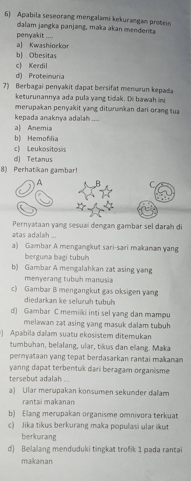 Apabila seseorang mengalami kekurangan protein
dalam jangka panjang, maka akan menderita
penyakit ....
a) Kwashiorkor
b) Obesitas
c) Kerdil
d) Proteinuria
7) Berbagai penyakit dapat bersifat menurun kepada
keturunannya ada pula yang tidak. Di bawah ini
merupakan penyakit yang diturunkan dari orang tua
kepada anaknya adalah ....
a) Anemia
b) Hemofilia
c) Leukositosis
d) Tetanus
8) Perhatikan gambar!
Pernyataan yang sesuai dengan gambar sel darah di
atas adalah ...
a) Gambar A mengangkut sari-sari makanan yang
berguna bagi tubuh
b) Gambar A mengalahkan zat asing yang
menyerang tubuh manusia
c) Gambar B mengangkut gas oksigen yang
diedarkan ke seluruh tubuh
d) Gambar C memiiki inti sel yang dan mampu
melawan zat asing yang masuk dalam tubuh
) Apabila dalam suatu ekosistem ditemukan
tumbuhan, belalang, ular, tikus dan elang. Maka
pernyataan yang tepat berdasarkan rantai makanan
yanng dapat terbentuk dari beragam organisme
tersebut adalah ...
a) Ular merupakan konsumen sekunder dalam
rantai makanan
b) Elang merupakan organisme omnivora terkuat
c) Jika tikus berkurang maka populasi ular ikut
berkurang
d) Belalang menduduki tingkat trofik 1 pada rantai
makanan