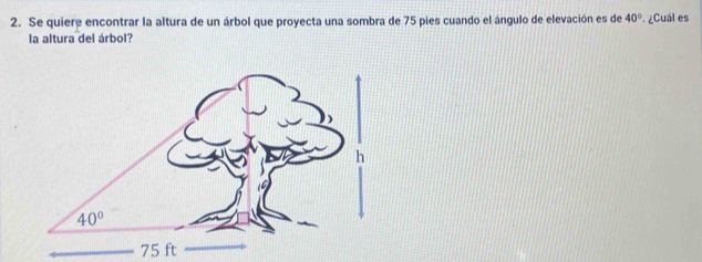 Se quiere encontrar la altura de un árbol que proyecta una sombra de 75 pies cuando el ángulo de elevación es de 40° ¿Cuál es
la altura del árbol?