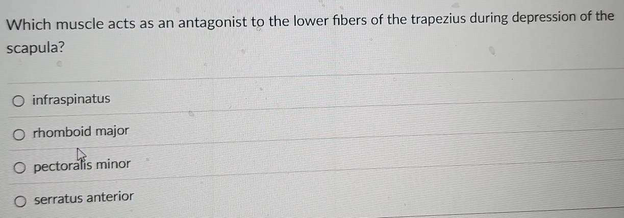 Which muscle acts as an antagonist to the lower fibers of the trapezius during depression of the
scapula?
infraspinatus
rhomboid major
pectoralis minor
serratus anterior