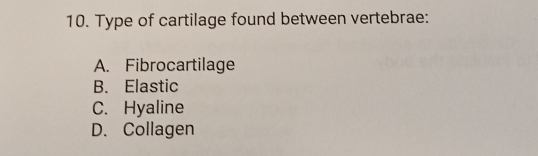 Type of cartilage found between vertebrae:
A. Fibrocartilage
B. Elastic
C. Hyaline
D. Collagen