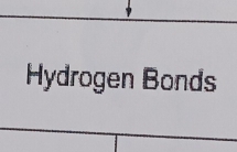 Hydrogen Bonds