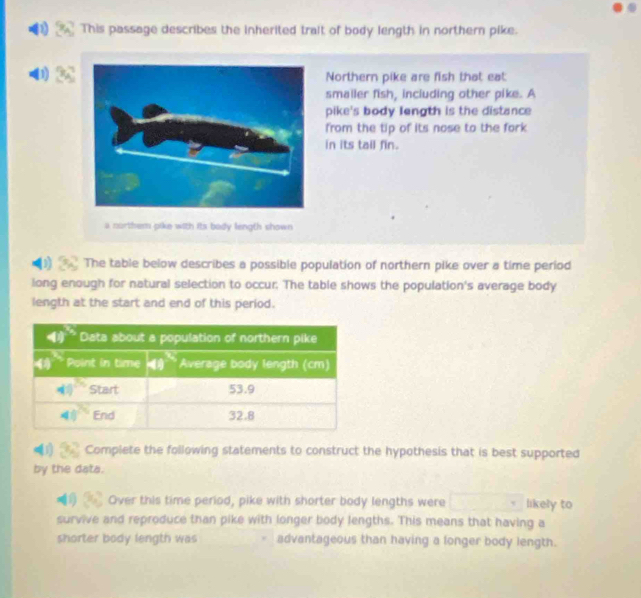 ) This passage describes the inherited trait of body length in northern pike.
D
Northern pike are fish that eat:
smailer fish, including other pike. A
pike's body length is the distance
from the tip of its nose to the fork
in its tail fin.
a nurthem pike with its body length shown.
The table below describes a possible population of northern pike over a time period
long enough for natural selection to occur. The table shows the population's average body
length at the start and end of this period.
(1) Complete the following statements to construct the hypothesis that is best supported
by the data.
x^2 Over this time period, pike with shorter body lengths were □  likely to
survive and reproduce than pike with longer body lengths. This means that having a
shorter body length was advantageous than having a longer body length.