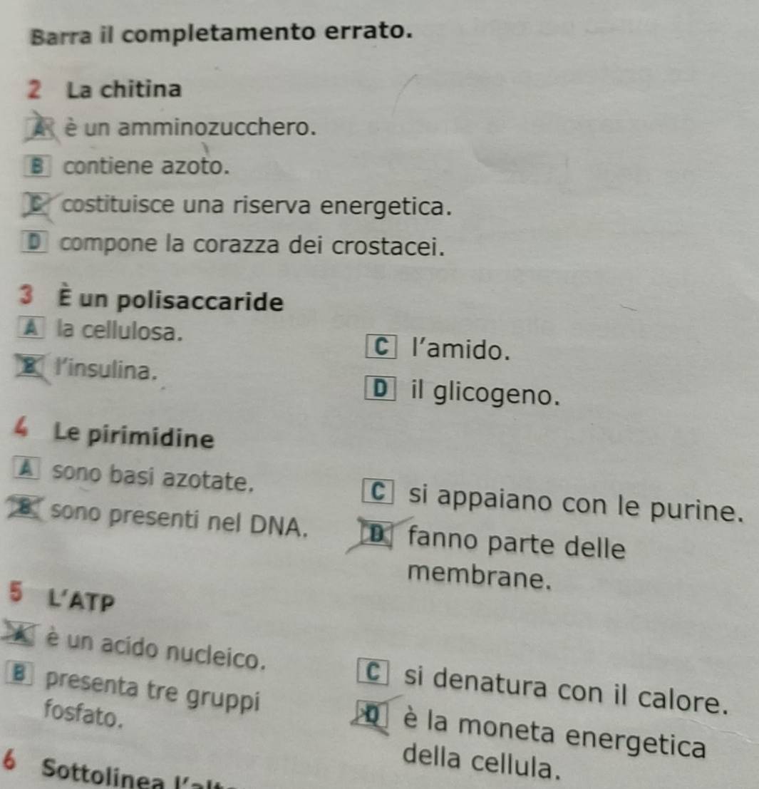 Barra il completamento errato.
2 La chitina
A é un amminozucchero.
B contiene azoto.
costituisce una riserva energetica.
compone la corazza dei crostacei.
3 È un polisaccaride
A la cellulosa.
C l'amido.
B l'insulina. D il glicogeno.
4 Le pirimidine
A sono basi azotate. C si appaiano con le purine.
B sono presenti nel DNA. Dfanno parte delle
membrane.
5 L'ATP
A è un acido nucleico. C si denatura con il calore.
B presenta tre gruppi o è la moneta energetica
fosfato. della cellula.
6 Sottolinea lal