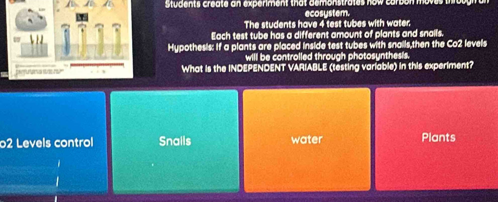 Students create an experiment that demonstrates now carbon moves through an
ecosystem.
The students have 4 test tubes with water.
Each test tube has a different amount of plants and snails.
Hypothesis: If a plants are placed inside test tubes with snalls,then the Co2 levels
will be controlled through photosynthesis.
What is the INDEPENDENT VARIABLE (testing variable) in this experiment?
02 Levels control Snails water
Plants