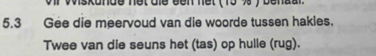 nde net die een net ( 15 % ) bena al 
5.3 Gee die meervoud van die woorde tussen hakies. 
Twee van die seuns het (tas) op hulle (rug).