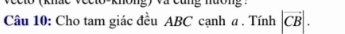 Cho tam giác đều ABC cạnh a. Tính |vector CB|.