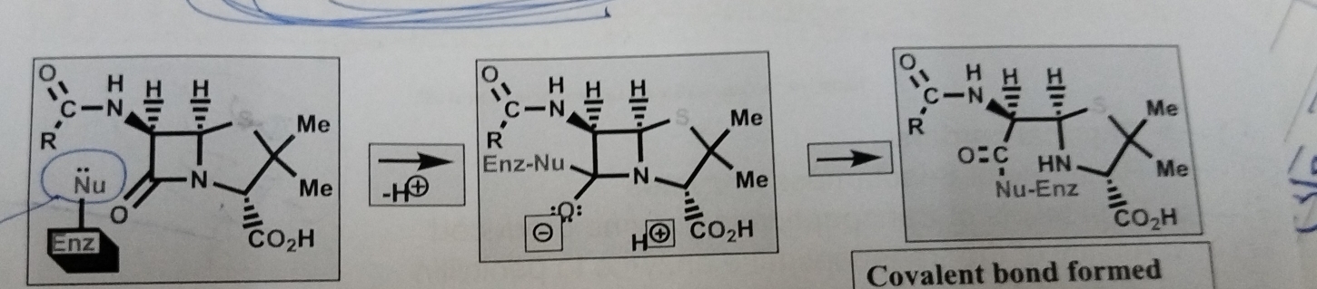 Covalent bond formed