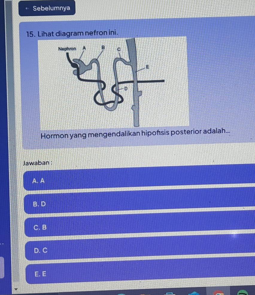 Sebelumnya
15. Lihat diagram nefron ini.
Hormon yang mengendalikan hipofsis posterior adalah...
Jawaban :
A. A
B. D
C. B
D. C
E. E