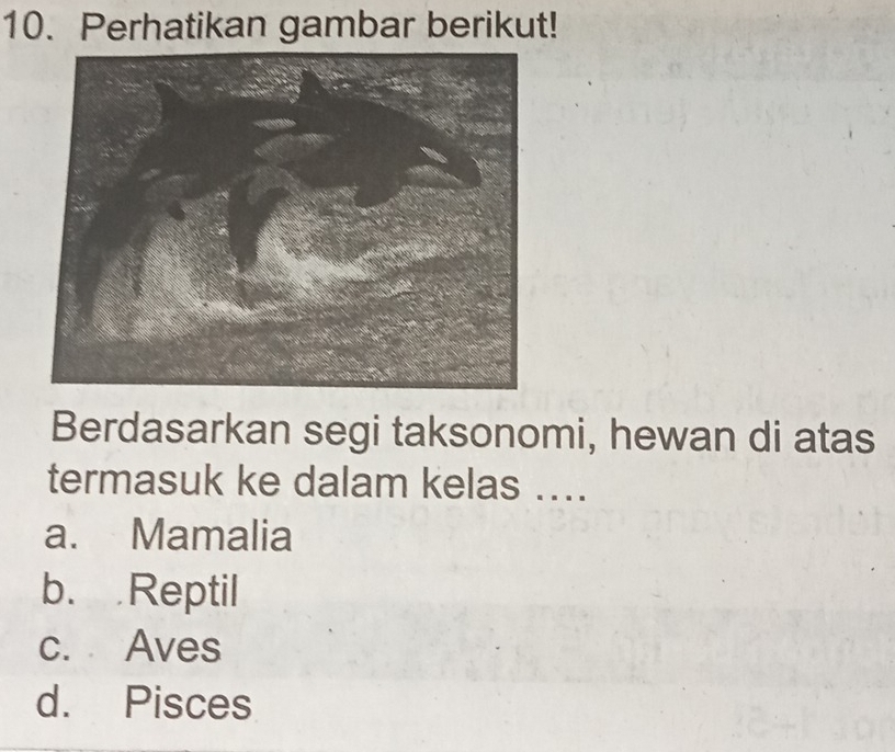 Perhatikan gambar berikut!
Berdasarkan segi taksonomi, hewan di atas
termasuk ke dalam kelas ....
a. Mamalia
b. Reptil
c. Aves
d. Pisces