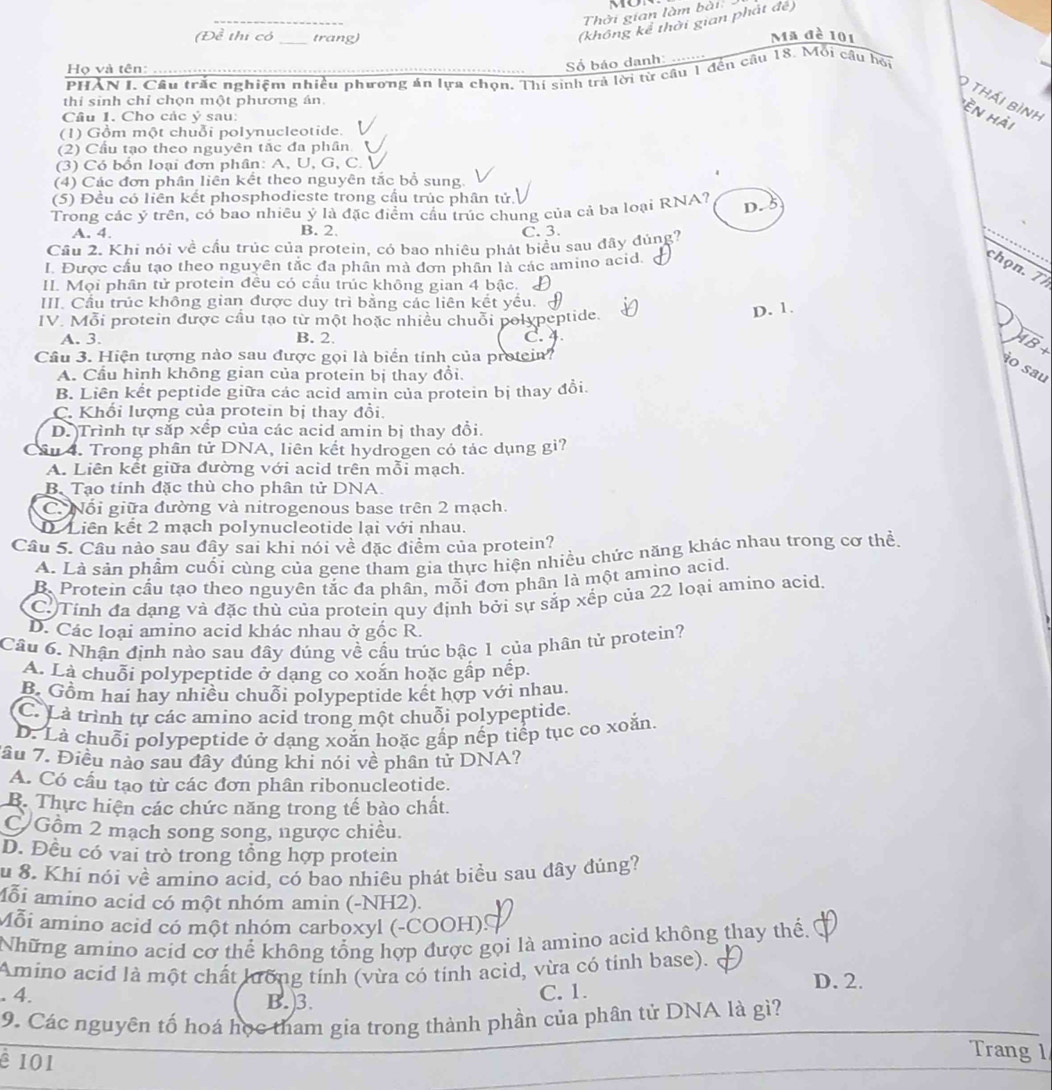 Thời gian làm bài mo
(không kể thời gian phát để)
(Đề thi có _trang) Mã đề 101
Họ và tên:
Số báo danh:
PHẢN I. Câu trắc nghiệm nhiều phương án lựa chọn. Thí sinh trả lời từ câu 1 đến cầu 18. Mỗi cầu hỏi
thí sinh chỉ chọn một phương án
0 thái bình 'ền hài
Câu 1. Cho các ý sau:
(1) Gồm một chuỗi polynucleotide.
(2) Cầu tạo theo nguyên tắc đa phân
(3) Có bổn loại đơn phân: A, U, G, C. 
(4) Các đơn phân liên kết theo nguyên tắc bổ sung
(5) Đều có liên kết phosphodieste trong cầu trúc phân tử.
Trong các ý trên, có bao nhiêu ý là đặc điểm cầu trúc chung của cả ba loại RNA7
D. 5
A. 4. B. 2. C. 3.
Cầu 2. Khi nói về cầu trúc của protein, có bao nhiêu phát biểu sau đây đùng?
I. Được cầu tạo theo nguyên tắc đa phân mà đơn phân là các amino acid.
chọn. 77
II. Mọi phân tử protein đều có cầu trúc không gian 4 bậc.
III. Cầu trúc không gian được duy trì bằng các liên kết yểu.
IV. Mỗi protein được cầu tạo từ một hoặc nhiều chuỗi polypeptide.
D. 1.
A. 3. B. 2.
Cầu 3. Hiện tượng nào sau được gọi là biển tính của protein? C. 4
B
ào sau
A. Cầu hình không gian của protein bị thay đổi.
B. Liên kết peptide giữa các acid amin của protein bị thay đồi.
C. Khối lượng của protein bị thay đổi.
D. Trình tự sắp xếp của các acid amin bị thay đồi.
Cầu 4. Trong phân tử DNA, liên kết hydrogen có tác dụng gi?
A. Liên kết giữa đường với acid trên mỗi mạch.
Bộ Tạo tính đặc thù cho phân tử DNA.
C. Nổi giữa đường và nitrogenous base trên 2 mạch.
D. Liên kết 2 mạch polynucleotide lại với nhau.
Câu 5. Câu nào sau đây sai khi nói về đặc điểm của protein?
A. Là sản phẩm cuối cùng của gene tham gia thực hiện nhiều chức năng khác nhau trong cơ thể.
B. Protein cầu tạo theo nguyên tắc đa phân, mỗi đơn phân là một amino acid.
C.)Tính đa dạng và đặc thù của protein quy định bởi sự sắp xếp của 22 loại amino acid.
D. Các loại amino acid khác nhau ở gốc R.
Câu 6. Nhận định nào sau đây đúng về cầu trúc bậc 1 của phân tử protein?
A. Là chuỗi polypeptide ở dạng co xoắn hoặc gấp nếp.
B. Gồm hai hay nhiều chuỗi polypeptide kết hợp với nhau.
C. Là trình tự các amino acid trong một chuỗi polypeptide.
D. Là chuỗi polypeptide ở dạng xoắn hoặc gắp nếp tiếp tục co xoằn
ầu 7. Điều nào sau đây đúng khi nói về phân tử DNA?
A. Có cấu tạo từ các đơn phân ribonucleotide.
B. Thực hiện các chức năng trong tế bào chất.
C Gồm 2 mạch song song, ngược chiều.
D. Đều có vai trò trong tổng hợp protein
Âu 8. Khi nói về amino acid, có bao nhiêu phát biểu sau dây đúng?
ỗi amino acid có một nhóm amin (-NH2).
Mỗi amino acid có một nhóm carboxyl (-COOH)S
Những amino acid cơ thể không tổng hợp được gọi là amino acid không thay thế.
Amino acid là một chất lường tính (vừa có tính acìd, vừa có tỉnh base). D. 2.
. 4. B.)3.
C. 1.
9. Các nguyên tố hoá học tham gia trong thành phần của phân tử DNA là gì?
è 101
Trang 1