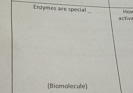 Enzymes are special _How 
activa 
(Biomolecule)