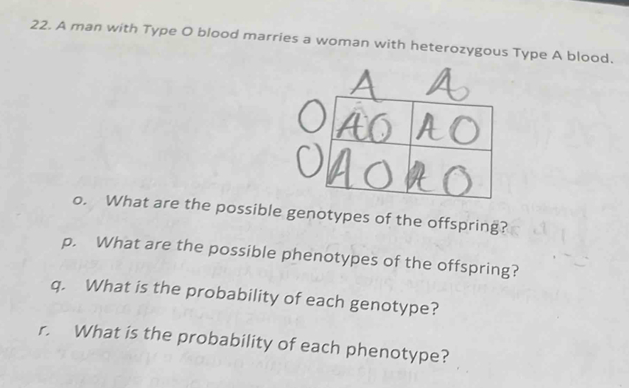 A man with Type O blood marries a woman with heterozygous Type A blood. 
o. What are the possible genotypes of the offspring? 
p. What are the possible phenotypes of the offspring? 
q. What is the probability of each genotype? 
r. What is the probability of each phenotype?