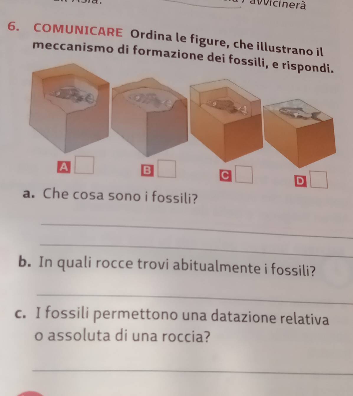 avvicinerà 
6. COMUNICARE Ordina le figure, che illustrano il 
meccanismo di formazione de 
a. Che cosa sono i fossili? 
_ 
_ 
b. In quali rocce trovi abitualmente i fossili? 
_ 
c. I fossili permettono una datazione relativa 
o assoluta di una roccia? 
_