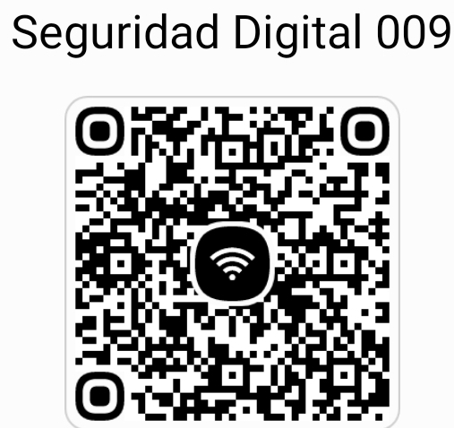 Seguridad Digital 009