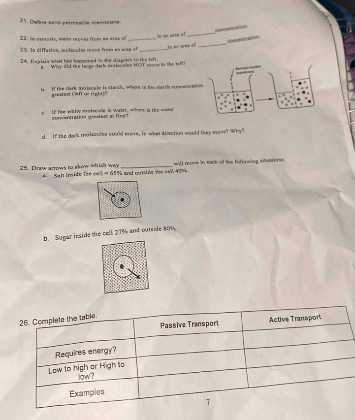 Define semi-permeable membrane 
_ 
concentration. 
to an area of 
_ 
22. In osmosis, water moves from an area of_ 
concentration. 
to an area of 
23. In diffusion, molecules move from an area of_ 
24. Explain what has happened in the diagram to the left. 
a. Why did the large dark molecules NOT move to the left? 
b. If the dark molecule is starch, where is the starch concentratio 
greatest (left or right)? 
c. If the white molecule is water, where is the water 
concentration greatest at first? 
d. If the dark molecules could move, in what direction would they move? Why? 
25. Draw arrows to show which way _will move in each of the following situations: 
a. Salt inside the ce 11=65% and outside the cell 40%. 
b. Sugar inside the cell 27% and outside 80%. 
26. Complete the table. 
Passive Transport Active Transport 
Requires energy? 
Low to high or High to 
low? 
Examples 
1