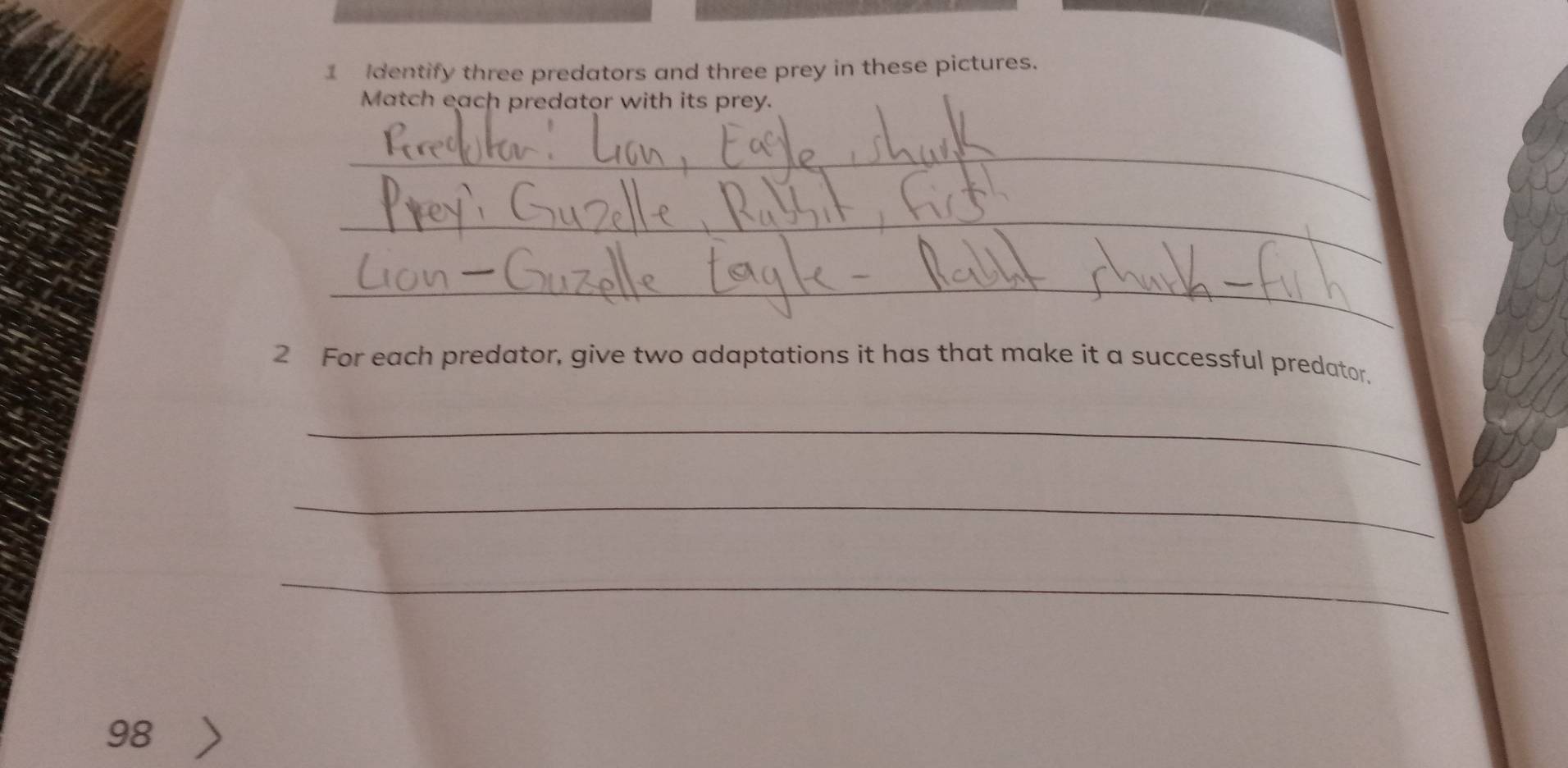 dentify three predators and three prey in these pictures. 
Match each predator with its prey. 
_ 
_ 
_ 
2 For each predator, give two adaptations it has that make it a successful predator, 
_ 
_ 
_
98