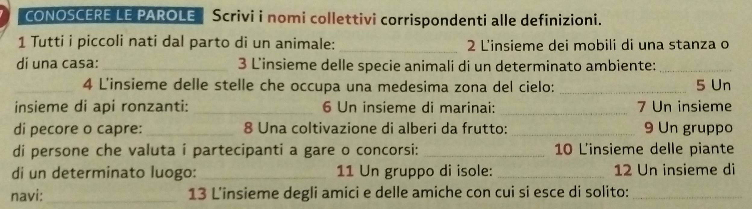 CONOSCERE LE PAROLE |Scrivi i nomi collettivi corrispondenti alle definizioni. 
1 Tutti i piccoli nati dal parto di un animale: _2 L'insieme dei mobili di una stanza o 
di una casa:_ 3 L'insieme delle specie animali di un determinato ambiente:_ 
_4 L'insieme delle stelle che occupa una medesima zona del cielo: _5 Un 
insieme di api ronzanti: _6 Un insieme di marinai: 7 Un insieme 
di pecore o capre: _8 Una coltivazione di alberi da frutto: _9 Un gruppo 
di persone che valuta i partecipanti a gare o concorsi: _10 L'insieme delle piante 
di un determinato luogo:_ 11 Un gruppo di isole: _12 Un insieme di 
navi:_ 13 L’insieme degli amici e delle amiche con cui si esce di solito:_