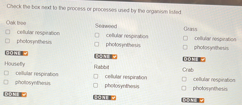 Check the box next to the process or processes used by the organism listed.
Oak tree Seaweed Grass
cellular respiration cellular respiration cellular respiration
photosynthesis photosynthesis photosynthesis
DONE DONE DONE 
Housefly Rabbit
Crab
cellular respiration cellular respiration cellular respiration
photosynthesis photosynthesis photosynthesis
DONE DONE DONE