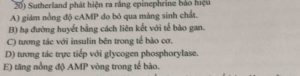 Sutherland phát hiện ra rằng epinephrine bảo hiệu
A) giảm nồng độ cAMP do bỏ qua màng sinh chất.
B) hạ đường huyết bằng cách liên kết với tế bào gan.
C) tương tác với insulin bên trong tế bào cơ.
D) tương tác trực tiếp với glycogen phosphorylase.
E) tăng nồng độ AMP vòng trong tế bào.