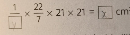 ××21×21= cm