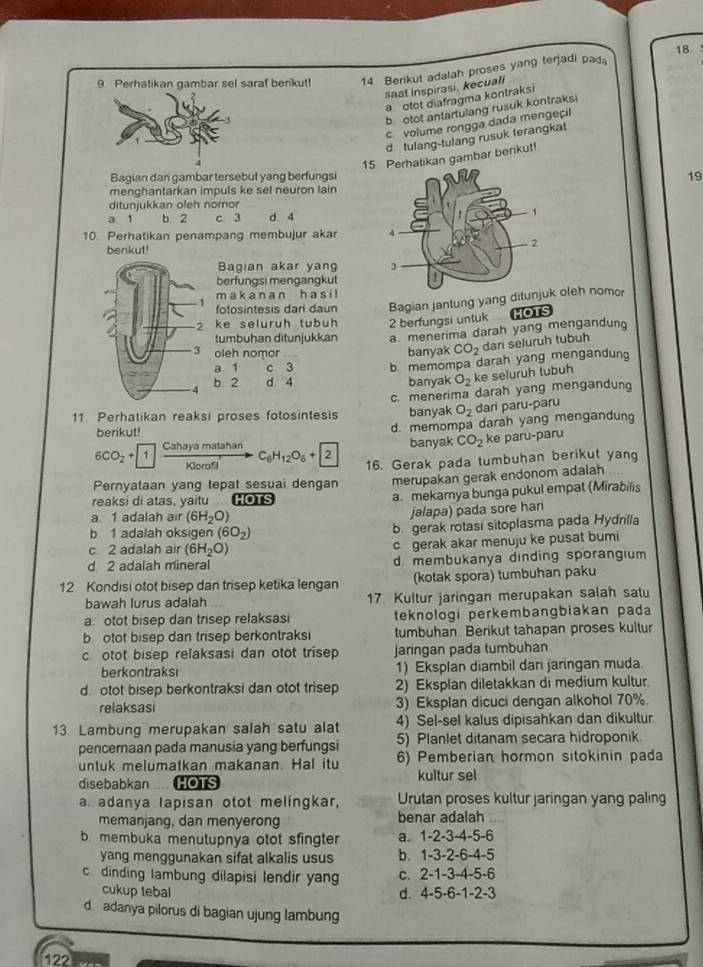 18
9 Perhatikan gambar sel saraf berikut! 14 Berikut adalah proses yang terjadi pad
snat inspirasi, kecuall
a otot diafragma kontraksi
b otot antartulang rusuk kontraks
c volume rongga dada mengeçi
d tulang-tulang rusuk ferangkat
15 Perhatikan gambar berikut!
Bagian dan gambar tersebut yang berfungsi19
menghantarkan impuls ke sel neuron lain
ditunjukkan oleh nomor
a 1 b 2 c 3 d 4
10. Perhatikan penampang membujur akar 
benkut!
Bagian akar yang 
berfungsi mengangkut
m a k a n a n h a s i l
fotosintesis dari daun Bagian jantung yang di oleh nomor
ke seluruh tubuh 2 berfungsi untuk HOTS
tumbuhan ditunjukkan a menerima darah yang mengandun
oleh nomor banyak CO_2 dari seluruh tubuh
a 1 c 3
b 2 d 4 b memompa darah yang mengandung
banyak O_2 ke seluruh tubuh
c. menerima darah yang mengandun
11 Perhatıkan reaksi proses fotosintesis banyak O_2 dari paru-paru
berikut!
d. memompa darah yang mengandung
banyak CO_2 ke paru-paru
Cahaya matahan C_6H_12O_6+2
6CO_2uparrow `
Korof 16. Gerak pada tumbuhan berikut yang
Pernyataan yang tepat sesuai dengan merupakan gerak endonom adalah
reaksi di atas, yaitu HOTS a mekarnya bunga pukul empat (Mirabilis
a 1 adalah air (6H_2O)
jalapa) pada sore han
b 1 adalah oksigen (6O_2) b gerak rotasi sitoplasma pada Hydnilla
c 2 adalah air (6H_2O) c gerak akar menuju ke pusat bumi
d 2 adalah mineral d. membukanya dinding sporangium
12 Kondisi otot bisep dan trisep ketika lengan (kotak spora) tumbuhan paku
bawah lurus adalah 17 Kultur jaringan merupakan salah satu
a otot bisep dan trisep relaksasi teknologi perkembangbiakan pada
b otot bisep dan trisep berkontraksi tumbuhan. Berikut tahapan proses kultur
c otot bisep relaksasi dan otot trisep jaringan pada tumbuhan
berkontraksi 1) Eksplan diambil dan jaringan muda
d otot bisep berkontraksi dan otot trisep 2) Eksplan diletakkan di medium kultur
relaksasi 3) Eksplan dicuci dengan alkohol 70%.
13. Lambung merupakan salah satu alat 4) Sel-sel kalus dipisahkan dan dikultur
pencemaan pada manusia yang berfungsi 5) Planlet ditanam secara hidroponik.
untuk melumatkan makanan. Hal itu 6) Pemberian hormon sitokinin pada
disebabkan HOTS kultur sel
a adanya lapisan otot melingkar, Urutan proses kultur jaringan yang paling
memanjang, dan menyerong benar adalah
b. membuka menutupnya otot sfingter a. 1-2-3-4-5-6
yang menggunakan sifat alkalis usus b. 1-3-2-6-4-5
c dinding lambung dilapisi lendir yang c. 2-1-3-4-5-6
cukup tebal d. 4-5-6-1-2-3
d. adanya pilorus di bagian ujung lambung
122