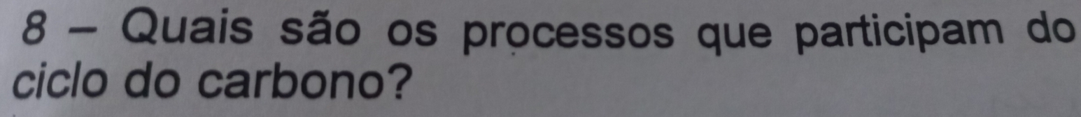 Quais são os processos que participam do 
ciclo do carbono?