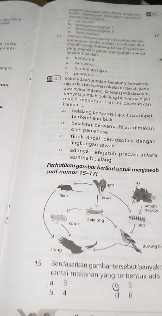 pokkan menjadı salu. Pada tinglatan 1 0
traßä, kelompak ekosistem tersebut
mrrduduão tonglt
i okositem
a produsen
daigh
b konsumen tingkat !. konsumen tingkat II 17
d. Gekomposer
13. Energi cahaya matahari masuk ke dalam
komponen biotik melalui produsen dan
n suatu
diubah menjadi energi kimia. Organisme
ga n g g u
yang memiliki peran mengubah energ
tersebut adalah 18
a herbivora
b. karnivora
angsa
c. tumbuhan hijau
d pengurai
14. Keberadaan jumlah belalang berwarna
nan
hijau dan berwarna cokelat di sawah pada
awalnya seimbang. Setelah padi dipanen,
ternyata jumlah belalang berwarna hijau
makin menurun. Hal ini disebabkan
karena ....
a. belalang berwarna hijau tidak dapat
berkembang biak
b. belalang berwarna hijau dimakan
oleh pemangsa
c. tidak dapat beradaptasi dengan
lingkungan sawah
d. adanya pengaruh predasi antara
sesama belalang
Perhatikan gambar berikut untuk menjawab
soal nomor 15-17!
u
Burung pì
15. Berdasarkan gambar tersebut banyakn
rantai makanan yang terbentuk ada
a. 3
9 5
b. 4 d. 6