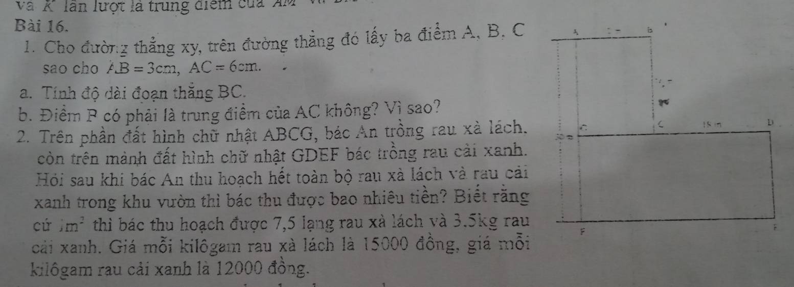 Và K' lần lượt là trung điểm của Xm 
Bài 16. 
1. Cho đường thẳng xy, trên đường thẳng đó lấy ba điểm A, B, C
sao cho AB=3cm, AC=6cm. 
a. Tính độ dài đoạn thắng BC. 
b. Điểm P có phải là trung điểm của AC không? Vì sao? 
2. Trên phần đất hình chữ nhật ABCG, bác An trồng rau xà lách. 
còn trên mành đất hình chữ nhật GDEF bác trồng rau cải xanh. 
Hỏi sau khi bác An thu hoạch hết toàn bộ rau xà lách và rau cải 
xanh trong khu vườn thì bác thu được bao nhiêu tiền? Biết rằng 
cứ jm^2 thì bác thu hoạch được 7,5 lạng rau xà lách và 3.5kg rau 
cải xanh. Giá mỗi kilôgam rau xà lách là 15000 đồng, giá mỗi 
kilôgam rau cải xanh là 12000 đồng.