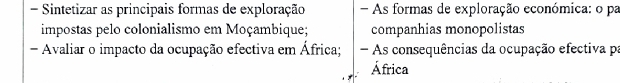 Sintetizar as principais formas de exploração - As formas de exploração económica: o pa 
impostas pelo colonialismo em Moçambique; companhias monopolistas 
- Avaliar o impacto da ocupação efectiva em África; As consequências da ocupação efectiva po 
África