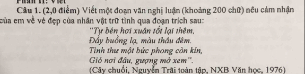 Phan II; Vier 
Câu 1. (2,0 điểm) Viết một đoạn văn nghị luận (khoảng 200 chữ) nều cảm nhận 
của em về vẻ đẹp của nhân vật trữ tình qua đoạn trích sau: 
'Tự bén hơi xuân tốt lại thêm, 
Đầy buồng lạ, màu thâu đêm. 
Tình thư một bức phong còn kín, 
Gió nơi đâu, gượng mở xem''. 
(Cây chuối, Nguyễn Trãi toàn tập, NXB Văn học, 1976)